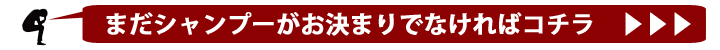 シャンプーが決まっていない方はこちらで探す